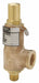 Relief Valve Bronze 250 psi 6-13/16 H