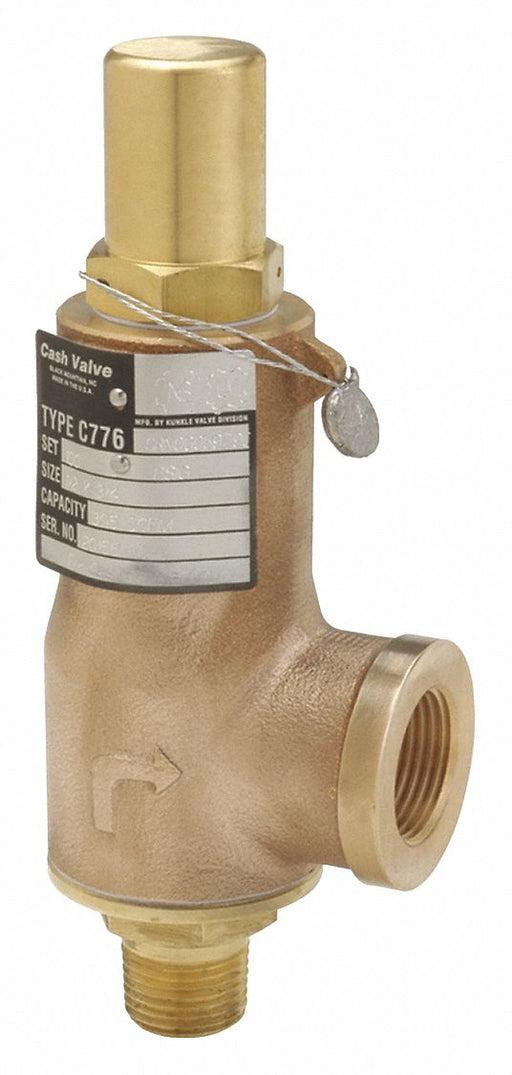 Relief Valve Bronze 250 psi 6-13/16 H