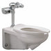 Flush Valve Toilet China WallMount