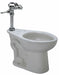 Flush Valve Toilet 10 Rough-In Floor