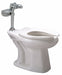 BedpanFlushValveToilet China FloorMount