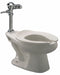 BedpanFlushValveToilet China FloorMount