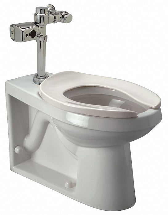 Flush Valve Toilet 4-1/8 Rough-In Floor