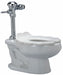 Flush Valve Toilet 10 Rough-In Floor