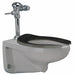 Toilet 5-1/4  7-1/4  9-1/4 Rough-In