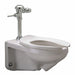 Toilet 5-1/4  7-1/4  9-1/4 Rough-In