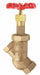 Globe Valve 1 Bronze FNPT 400 psi