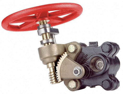 Gate Valve 1 Carbon Steel NPT