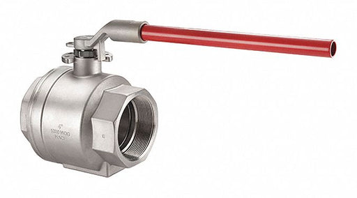 Manual 2-Way Ball Valve NPT SS