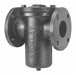 Basket Strainer 25 1/2 H 200 psi Bolted
