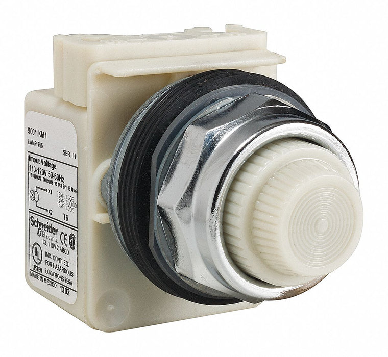 H4494 Pilot Light White 30mm Incandescent