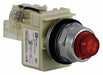 Pilot Light Red 30mm Incandescent