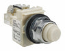 Pilot Light White 30mm Incandescent