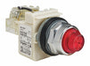 Pilot Light Red 30mm Incandescent
