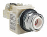Pilot Light No Lens Included 30mm LED