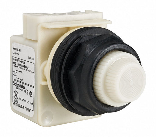 H4494 Pilot Light White 30mm Incandescent