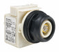 H4496 Pilot Light No Lens Included 30mm LED