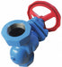Piston Valve 1 in NPT