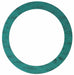 Flange Gasket C-4401 24 in 28-1/4 in