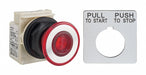 MushroomHeadPushButton Incandescent 30mm