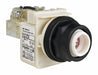Pilot Light No Lens Included 30mm LED