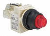 Pilot Light Red 30mm Incandescent