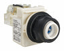 Pilot Light No Lens Included 30mm LED