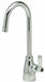 Gooseneck Chrome Zurn AquaSpec Brass
