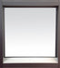 Cleanroom Window 36 inx43 1/2 in Silver