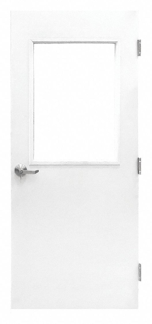 Cleanroom Door 84 inx36 in Steel