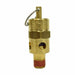 Air Safety Valve 1/4 Inlet 225 psi
