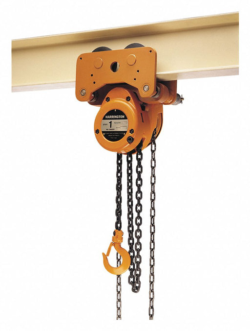 Hoist/Trolley 2000 lb 10 ft Lift