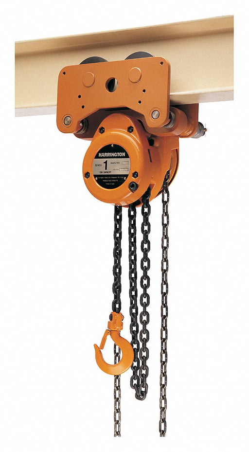 Hoist/Trolley 2000 lb 10 ft.Lift