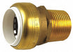 Strt Brass Push-Fit 1 in NPT 1 in