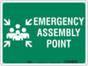Safety Sign 18 in x 24 in Polyethylene