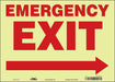 Safety Sign 10 in x 14 in Glow Vinyl