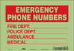 Safety Sign 7 in x 10 in Glow Vinyl