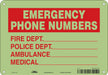 Safety Sign 7 in x 10 in Polyethylene