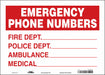 Safety Sign 10 in x 14 in Vinyl