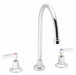 Gooseneck Chrome Speakman Commander