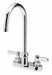 Gooseneck Chrome Zurn AquaSpec Brass