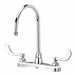 Gooseneck Chrome Zurn AquaSpec Brass