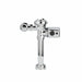 Automatic Flush Valve Exposed 1.28 gpf