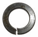 Lock Washer