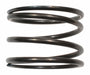 Brake Spring