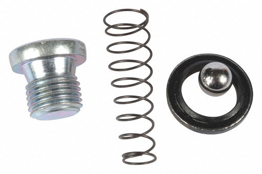 Check Valve Kit