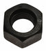 Hex Nut