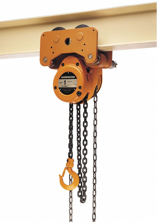 Hoist/Trolley 1000lb 10ftLift