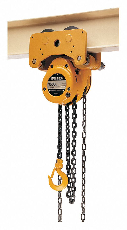 Hoist/Trolley 1000lb 10ftLift