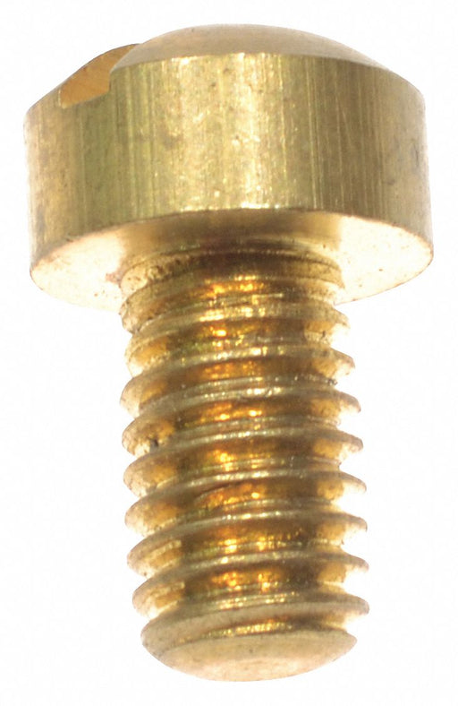 Cam Screw